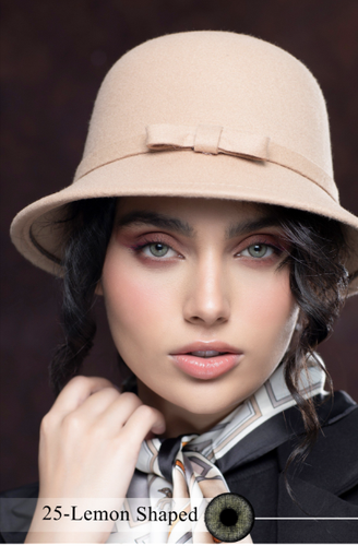 لتز رویال ویژن