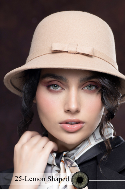 لتز رویال ویژن